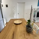 Lanza Palm *